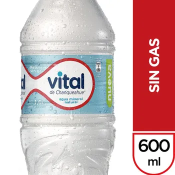 Agua Sin Gas - Vital 600cc
