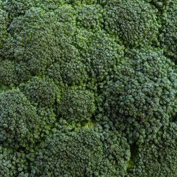 Brócoli  1 uni