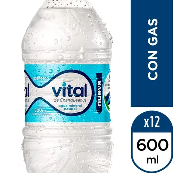 Agua Vital Con Gas 600 Cc