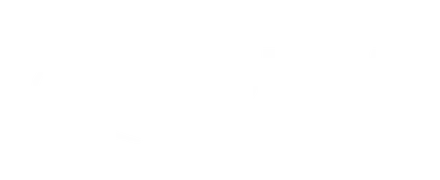 Roni's Pizza