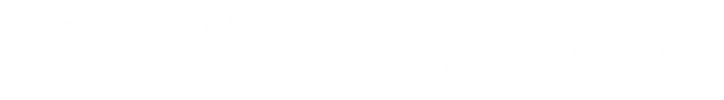 Tori Tori