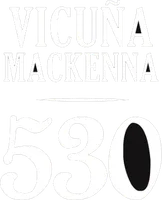 Vicuña Mackenna 530