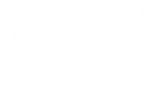 Pizza At Nite