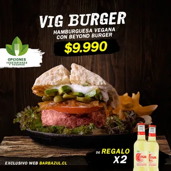 Promo VIG Burger
